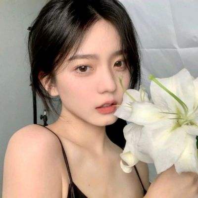 美丽新宁夏 绽放新活力